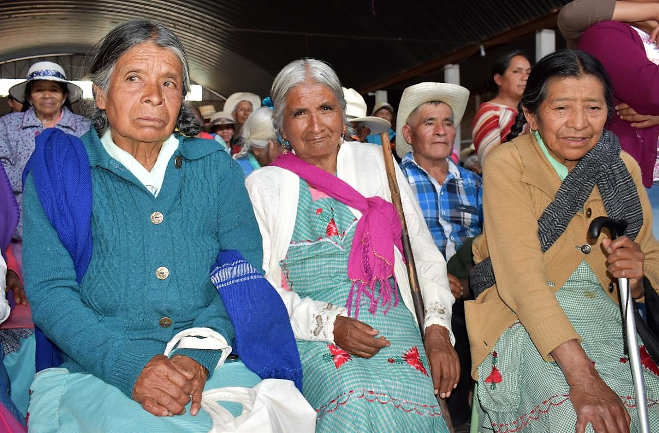 Sedesol entrega apoyos a adultos mayores en la Sierra Norte