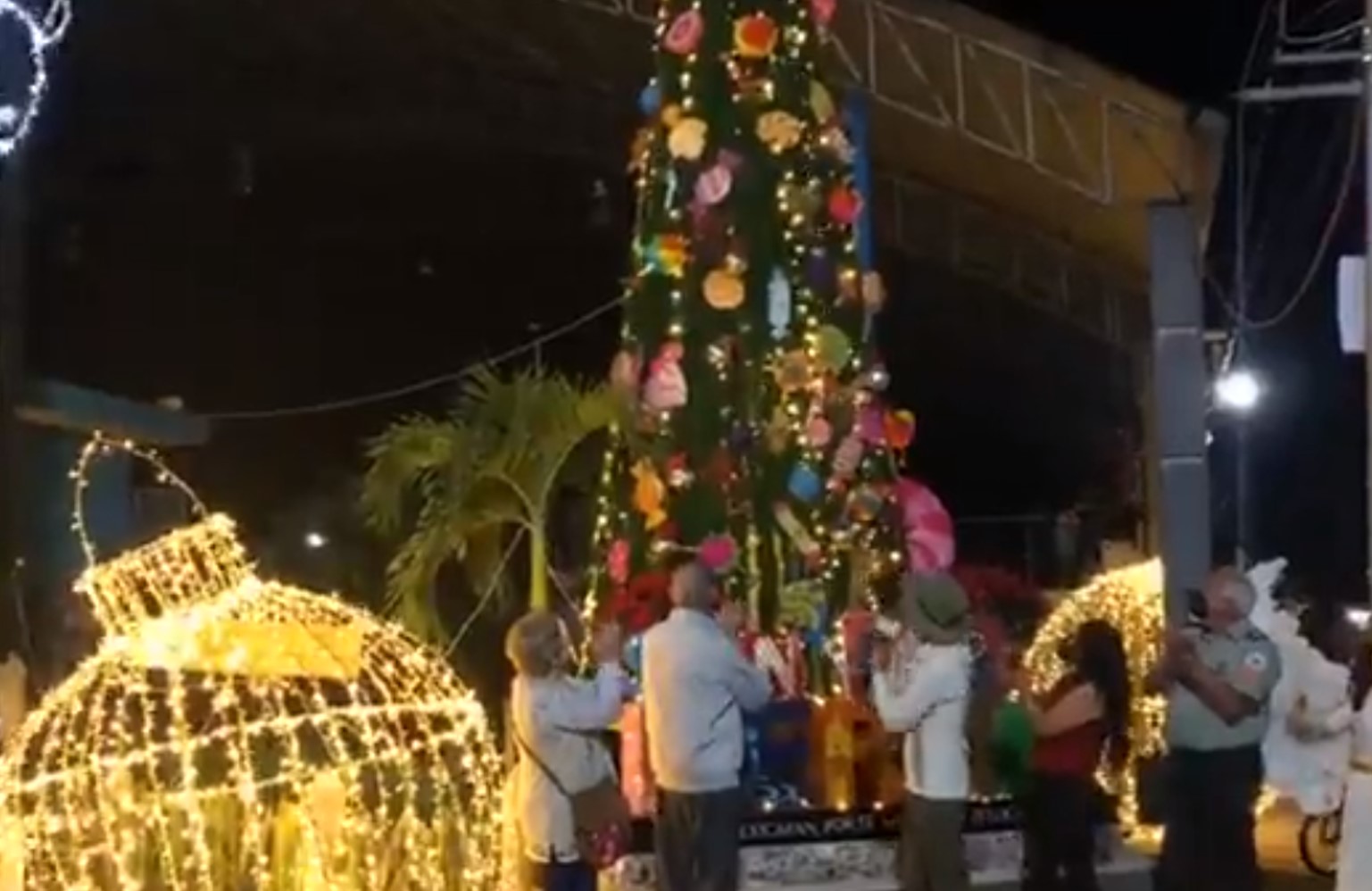 Realizan encendido de árbol navideño en San Bernardino en Izúcar