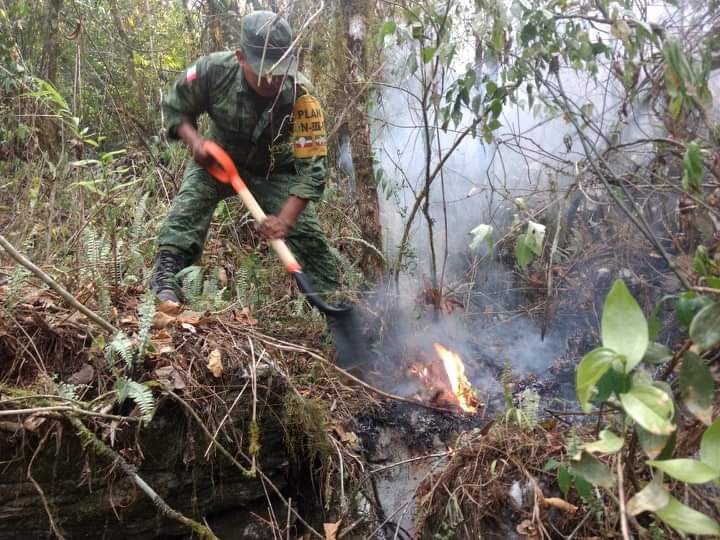 Controlado al 65% incendio en Zoquitlán, ya dañó 200 hectáreas