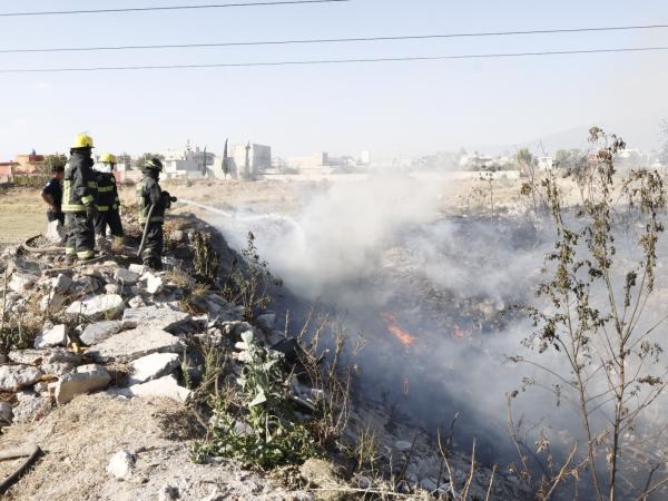 Incendios forestales han afectado en Puebla 5 mil hectáreas
