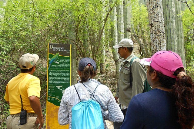 Cobrarán 28 pesos por ingresar a la Reserva de la Biósfera de Tehuacán