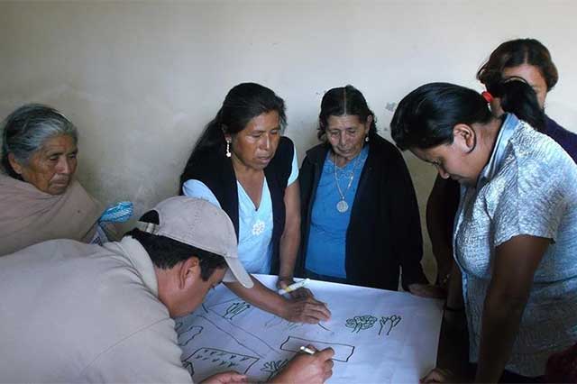 Celebra la Semana Nacional de Conservación la Reserva de la Biosfera Tehuacán-Cuicatlán