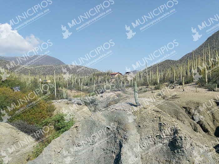 Nombra Unesco a la reserva Tehuacán-Cuicatlán patrimonio de la humanidad