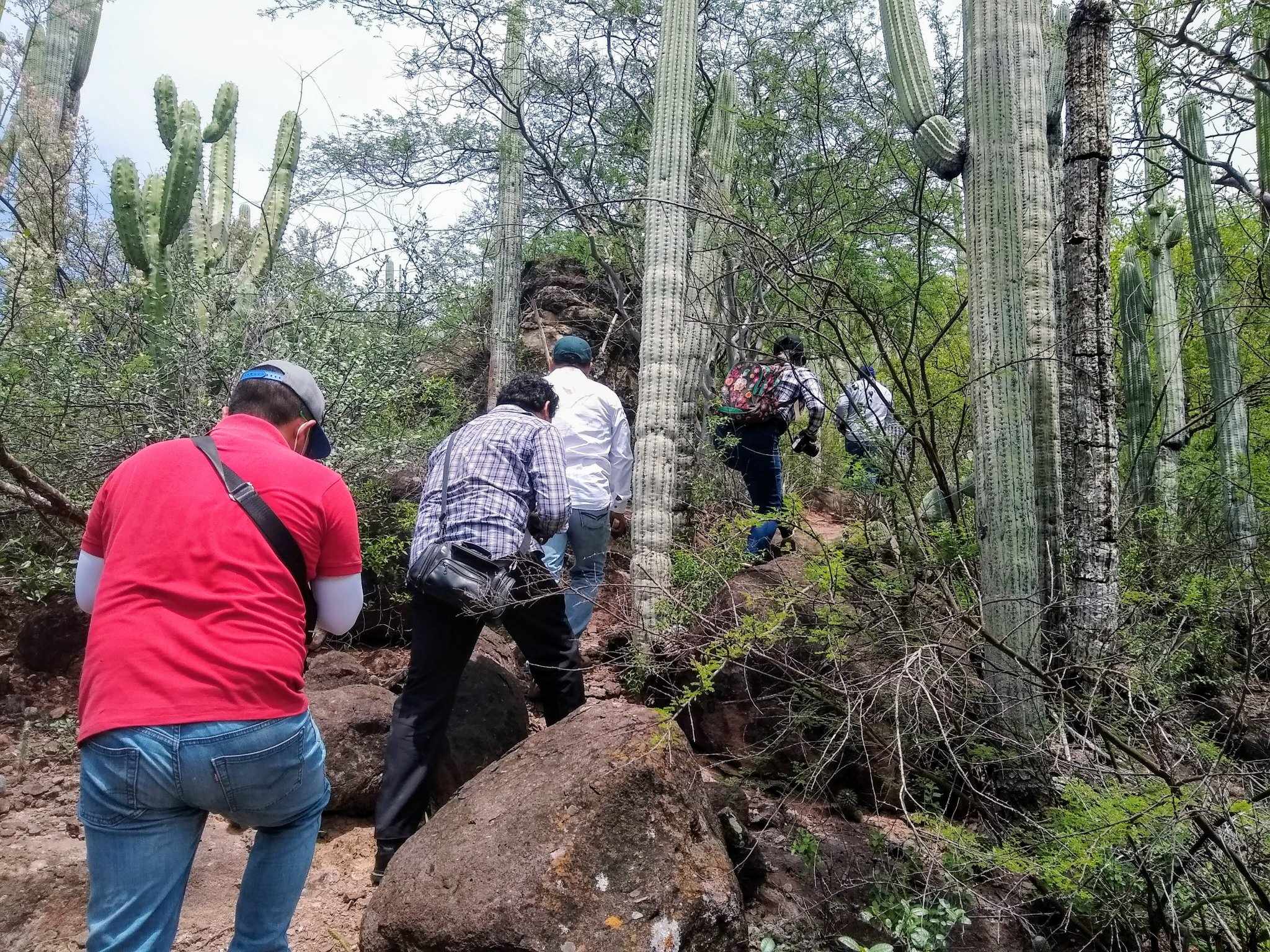 Comer con los artesanos, la calidez de la creación