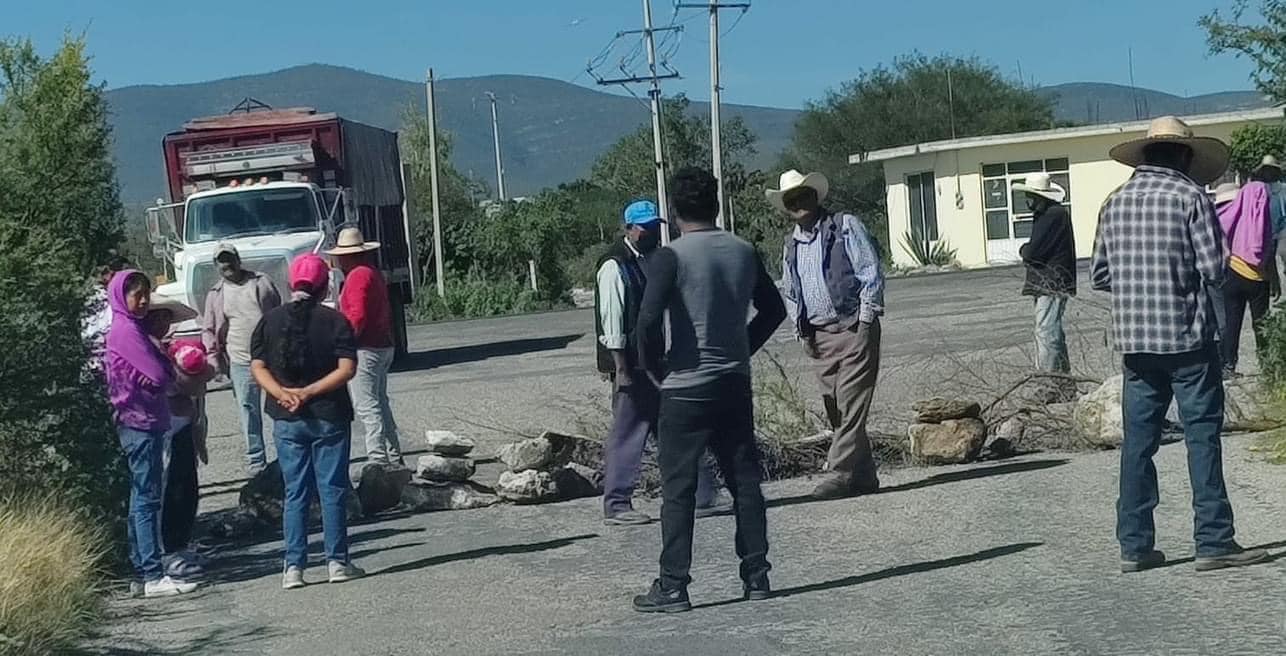 Avicultores piden evitar bloqueos que arriesgan producción de huevo y pollo