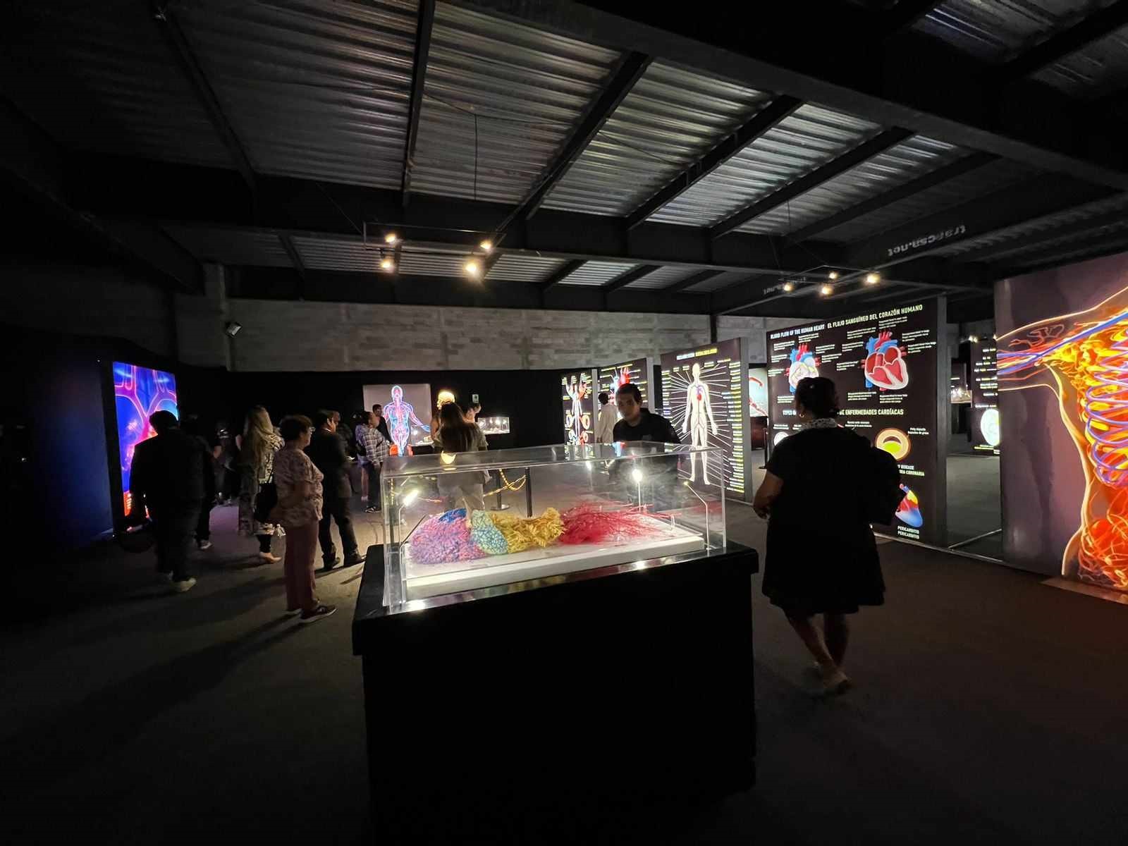Invita Querétaro a la población a presenciar la aclamada exhibición internacional BODIES