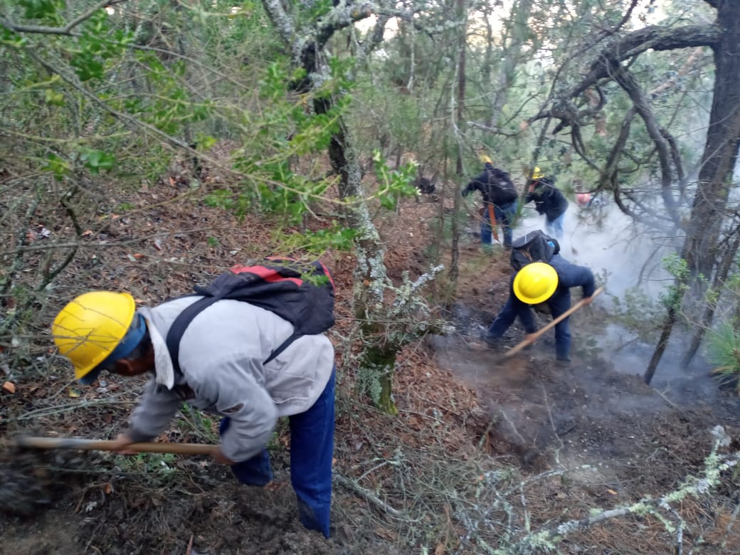 Restaurar el Atoyac y proteger recursos naturales, prioridad en 2021: SMADSOT 