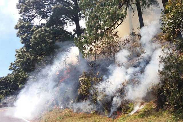 Cierran durante ocho horas la México-Tuxpan por incendio en bosque