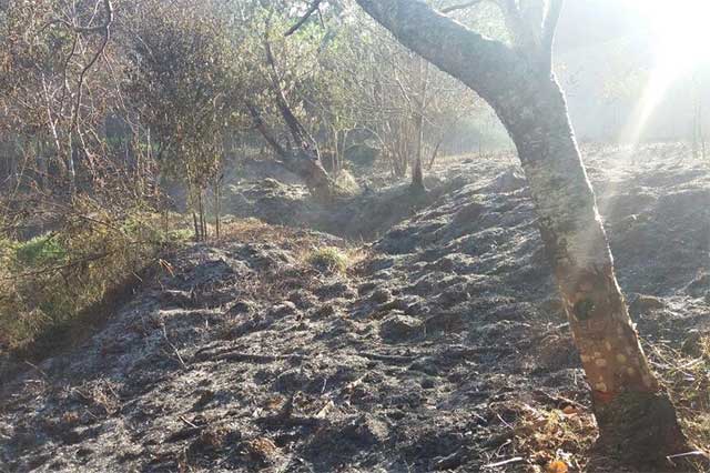 Cierran durante ocho horas la México-Tuxpan por incendio en bosque