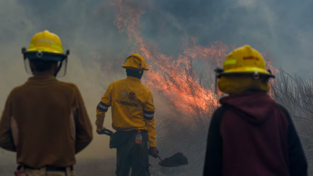 Policía y Bomberos de Cholula sofocan más de 20 incendios en el cerro zapotecas