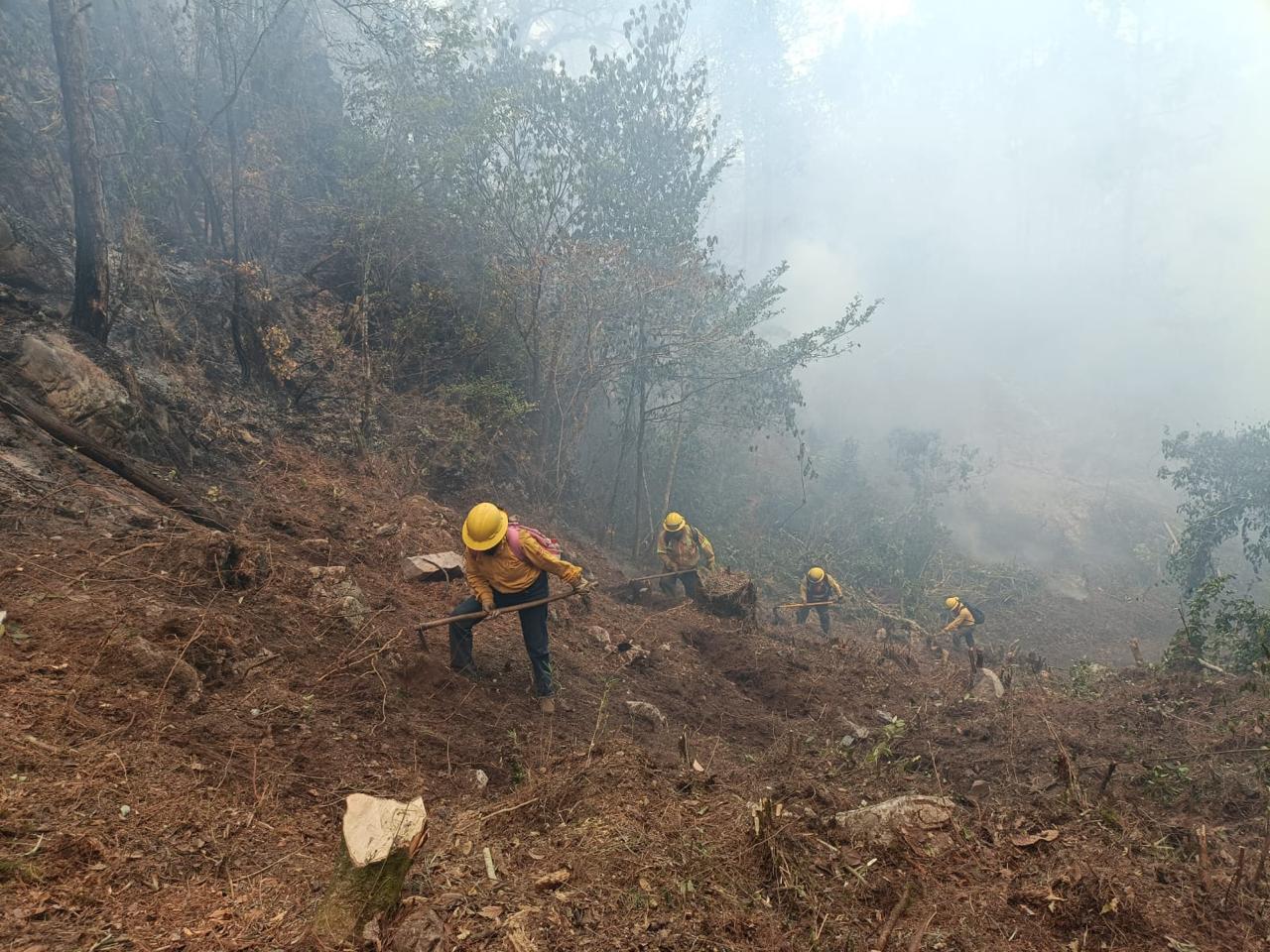 Brigadas de Veracruz atienden 19 incendios forestales