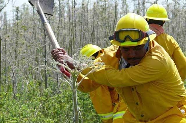 Con 50 brigadas, prevendrán incendios forestales en la región de Tehuacán