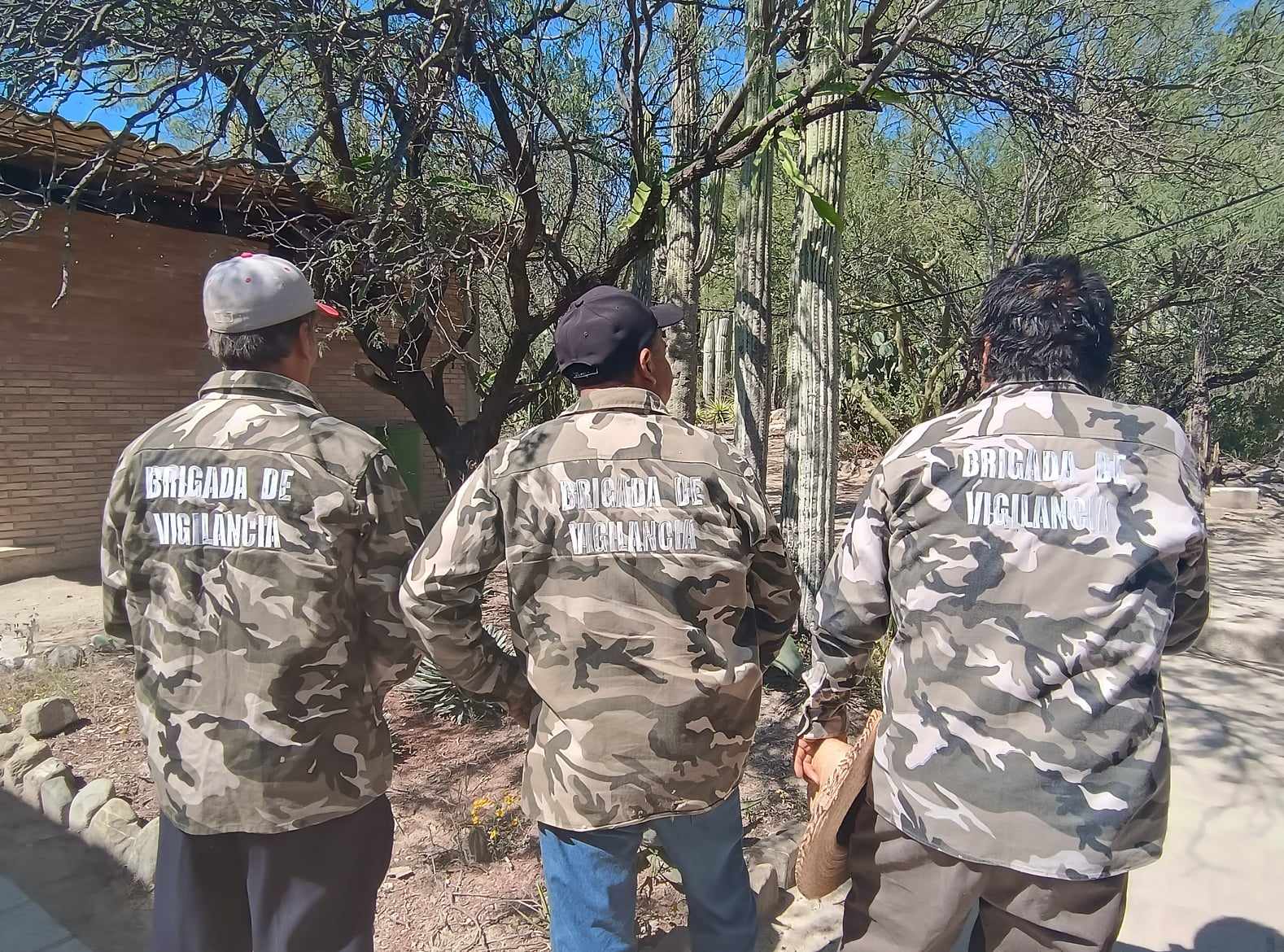 Profepa con recursos económicos limitados y poco personal para el cuidado del ambiente