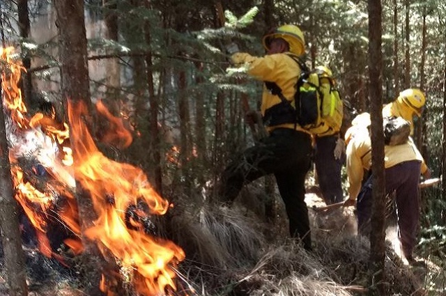 Van por protección laboral a brigadistas de incendios forestales