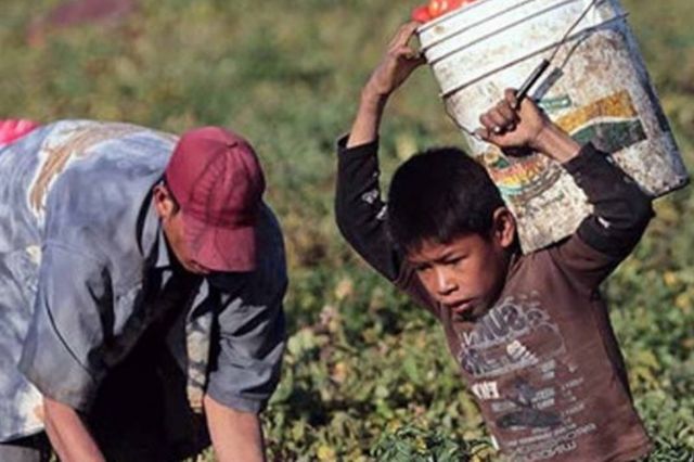 Covid y la deserción escolar aumenta trabajo infantil: INEGI