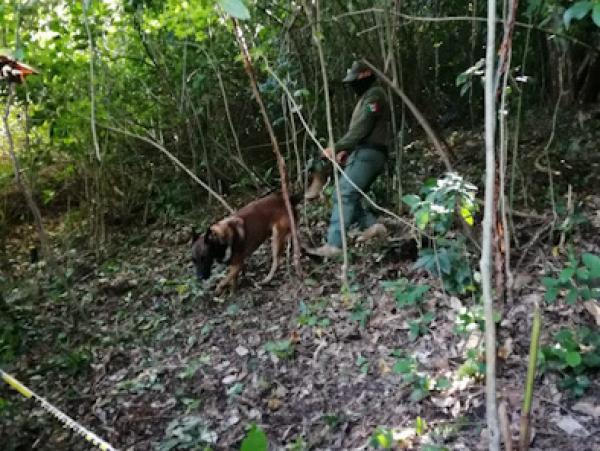 Localizan restos óseos de taxista de Metlaltoyuca en rancho de Veracruz