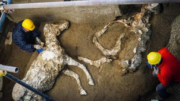 Encuentran en Pompeya caballo petrificado