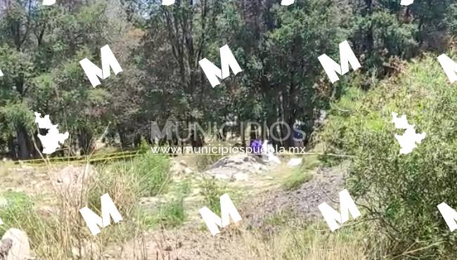 VIDEO Hallan cadáver devorado por perros en barranca de Xonacatepec
