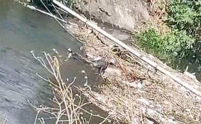 Hallan cadáver flotando en aguas negras del canal en Tecamachalco