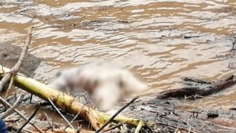 Hallan cadáver putrefacto en río de Axutla