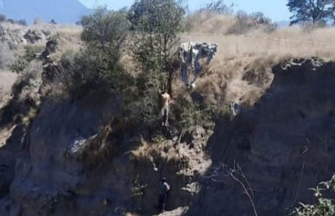 Golpean y cuelgan de un árbol a joven en Tepatlaxco