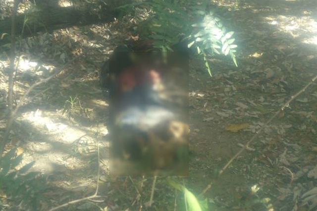 Cadáver devorado es hallado en camino de Tlalancaleca