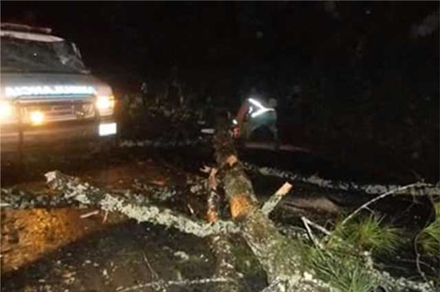 Cae árbol sobre ambulancia en la carretera México-Tuxpan