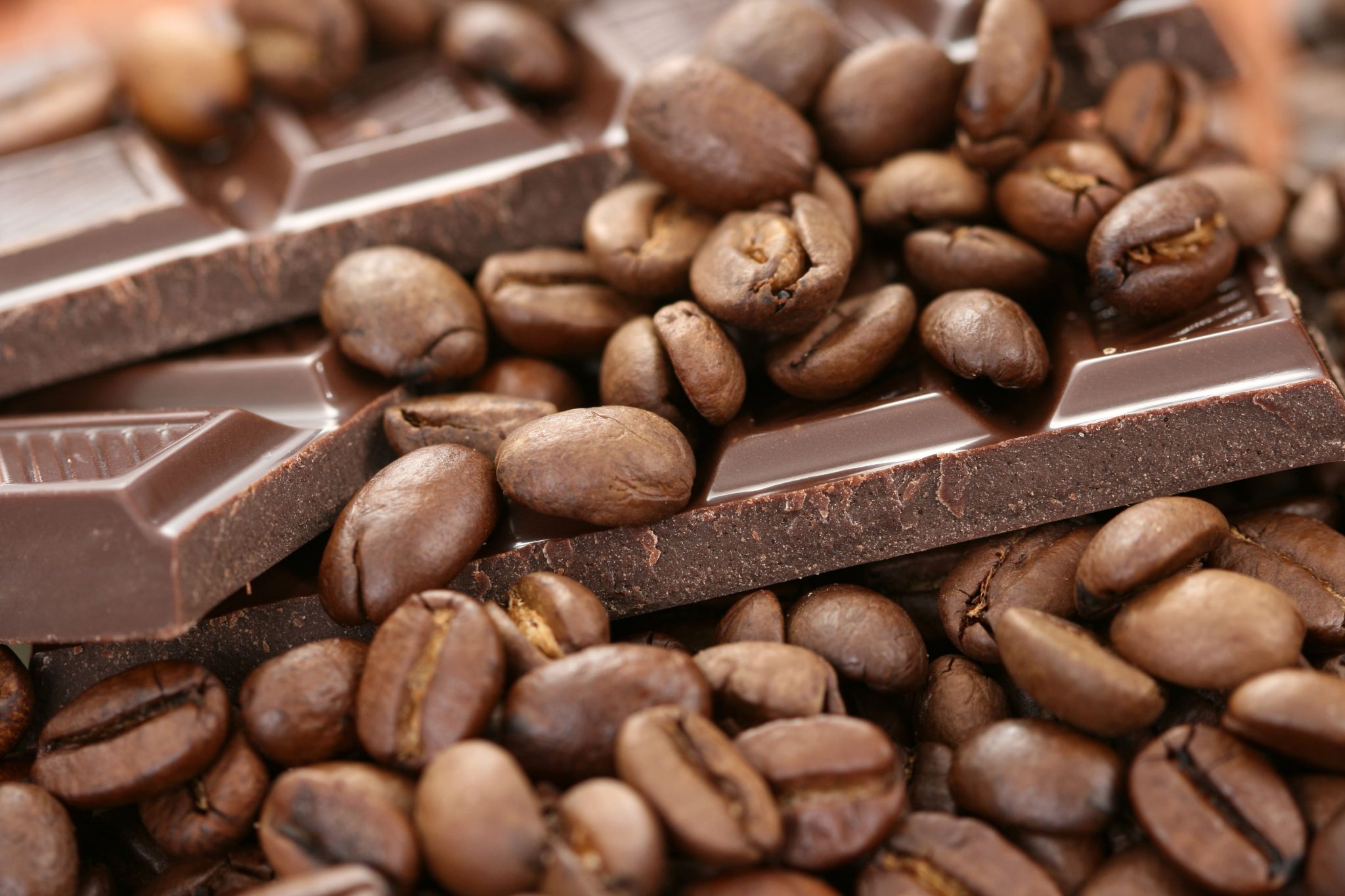 Nueva regulación de la Unión Europea no cesa exportaciones de café, cacao, aceite y madera