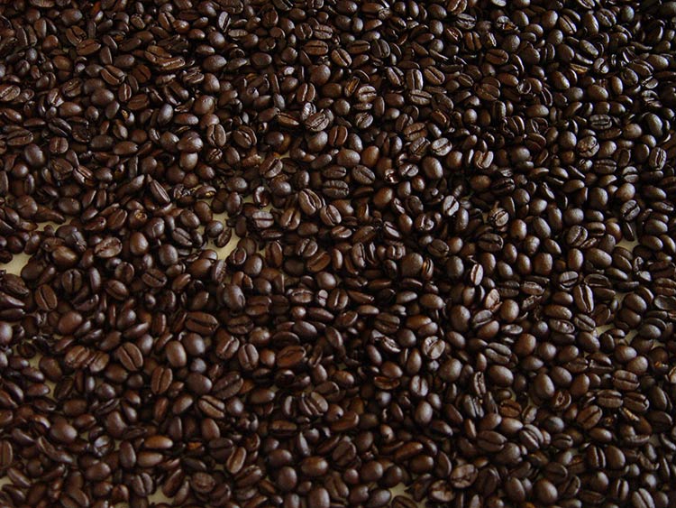 Café será estratégico para el desarrollo del país: Sagarpa