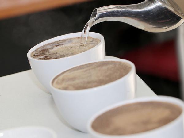 SDR y CAFECOL capacitan a productores de café
