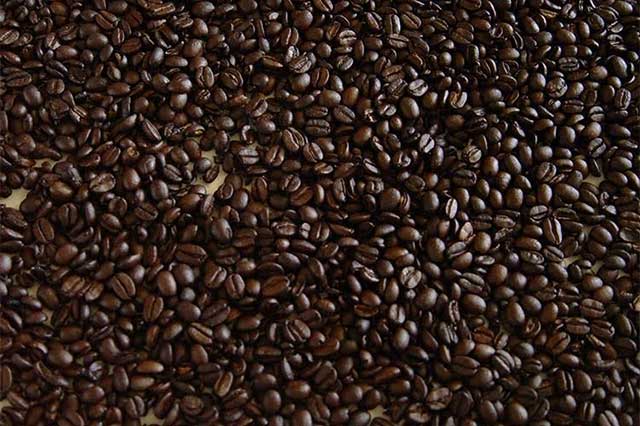 Carecen de esquemas de tecnificación productores de café de la región de Tehuacán
