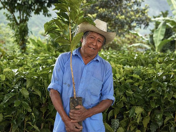 Logra SDR de Puebla donación de Starbucks de 111 mil plantas de café