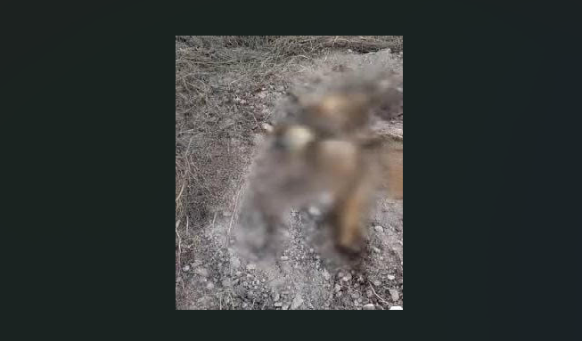 Albañiles hallan torso humano calcinado en banco de tierra de Acajete