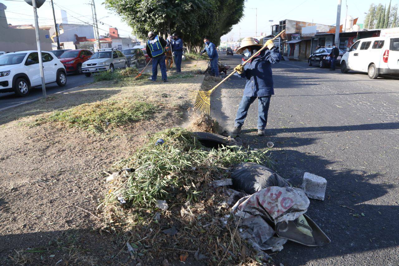 Dará mantenimiento a camellones y áreas verdes en la 16 de Septiembre