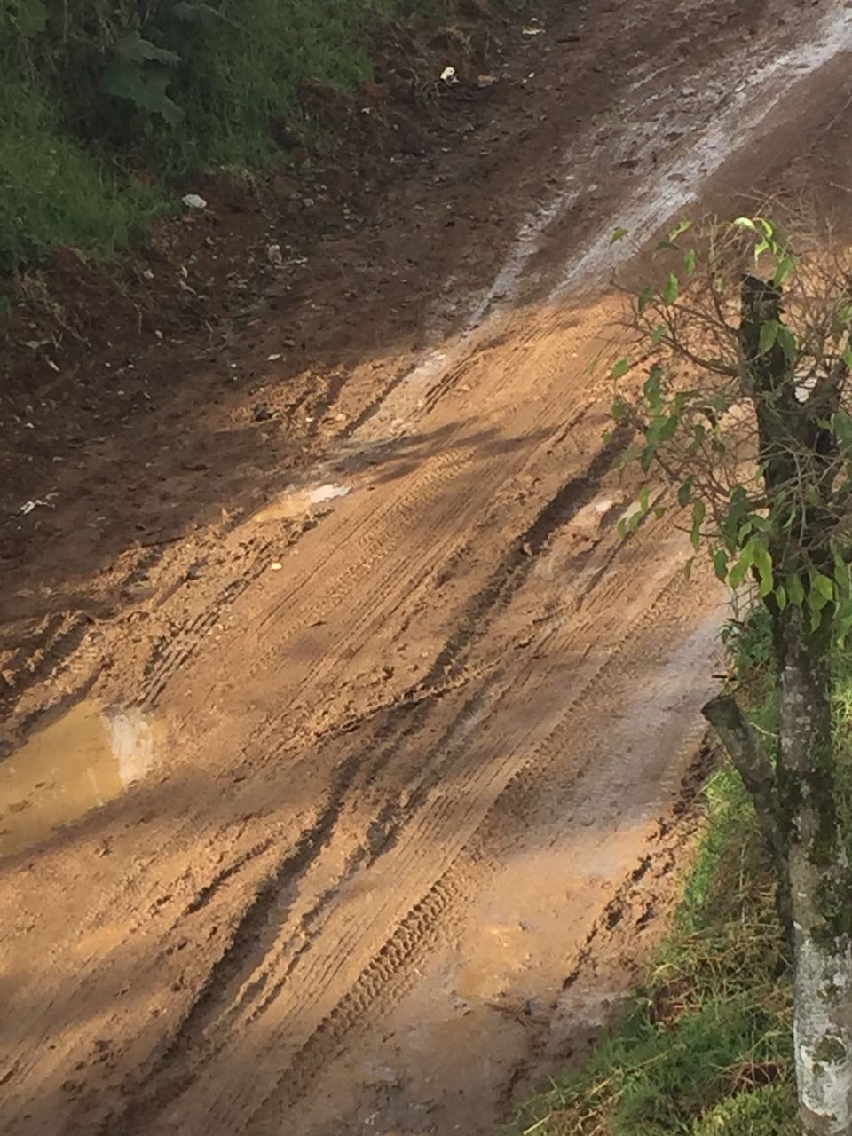 Cumple un mes sin ser reparado el camino a Tzahuinco