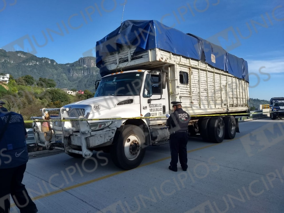 Policías de Teziutlán recuperan camión robado en Chignautla