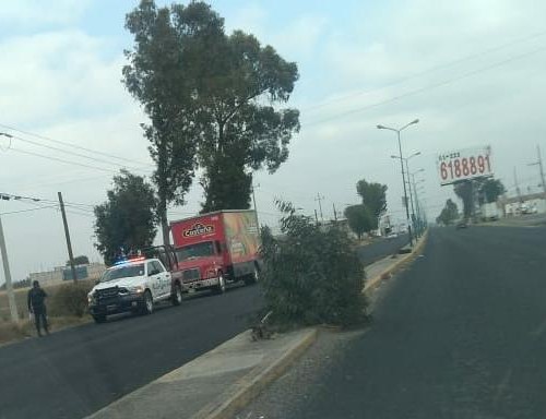 Recuperan camiones robados de La Costeña y Coca Cola en Huejotzingo