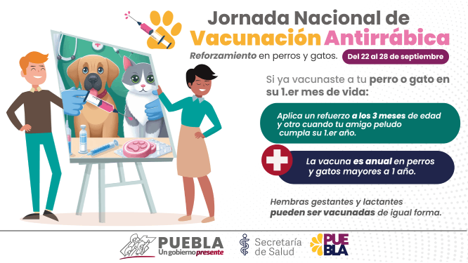 Anuncia Salud reforzamiento de vacunación antirrábica para perros y gatos