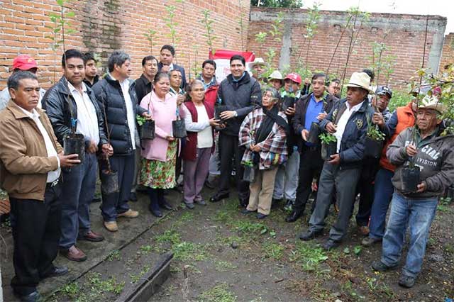 Campesinos reciben 3 mil 200 árboles de comuna de Huejotzingo