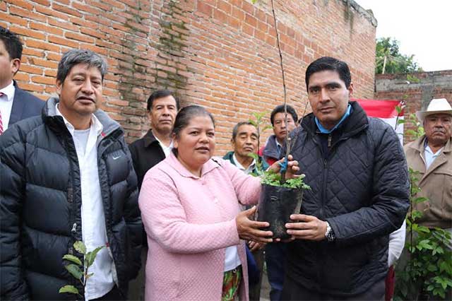 Campesinos reciben 3 mil 200 árboles de comuna de Huejotzingo