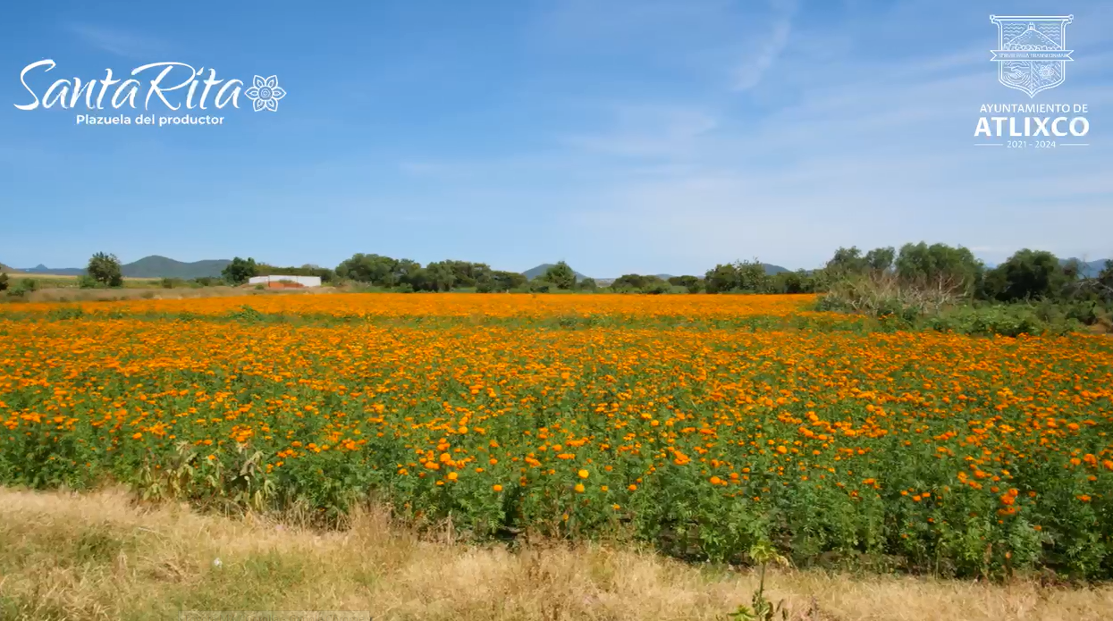 El campo mexicano con buenas expectativas agroalimentarias para el 2023