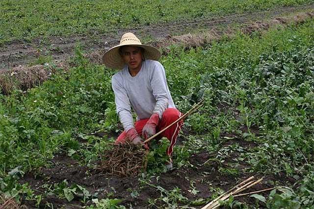 Urge Canacintra impulso a la agroindustria en la región de Tehuacán