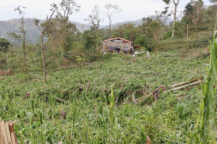 Crecen daños de Grace a 43 mil hectáreas de cultivos en Puebla