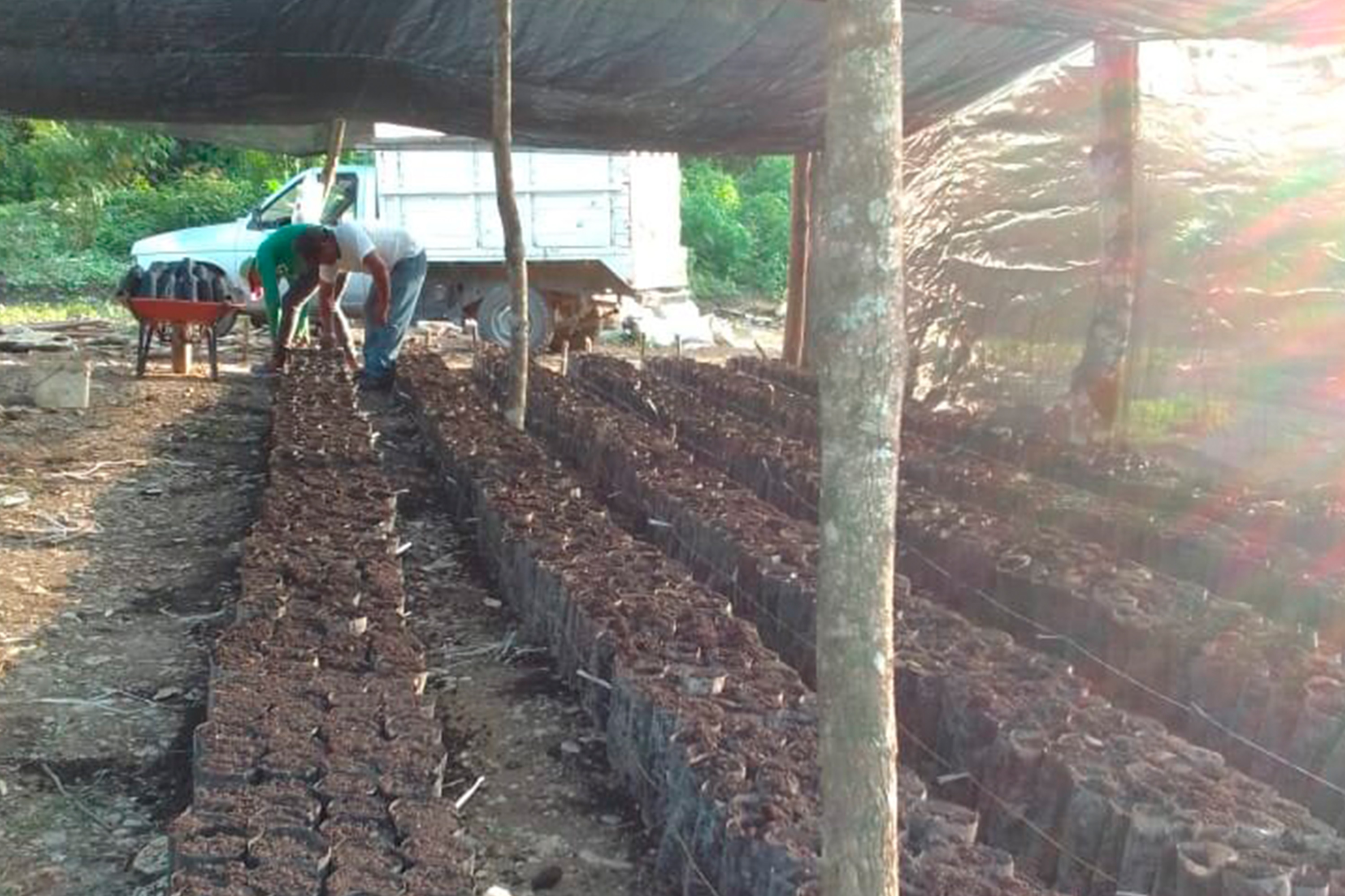 Apoya gobierno a 253 cooperativas poblanas en 13 regiones
