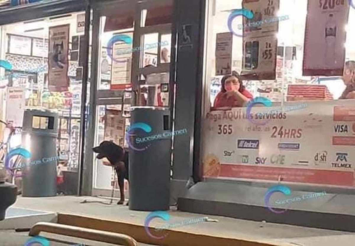 VIDEO Perro toma un OXXO y muerde a cliente