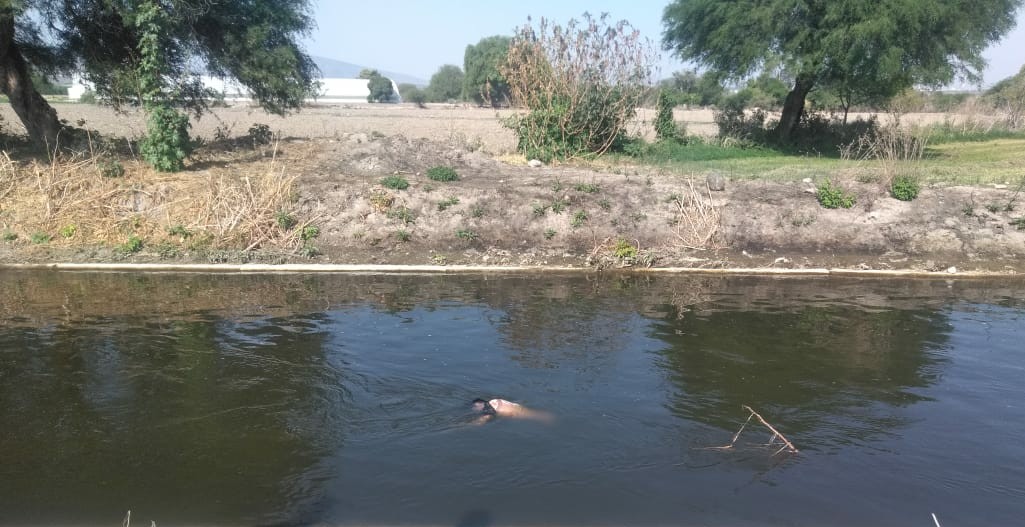 Encuentran cadáver flotando en canal de Valsequillo