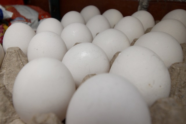 Avicultores reanudan distribución de huevo en el Triángulo Rojo