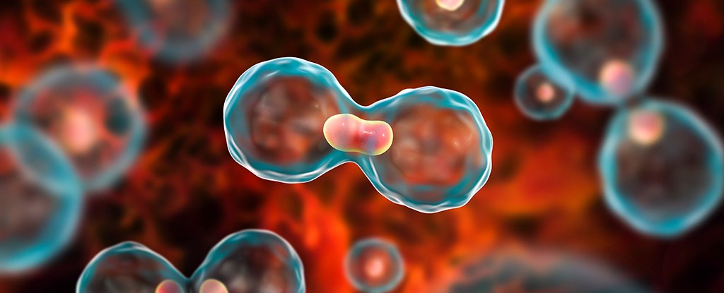 El 70% de casos de cáncer llegan en etapas avanzadas en México