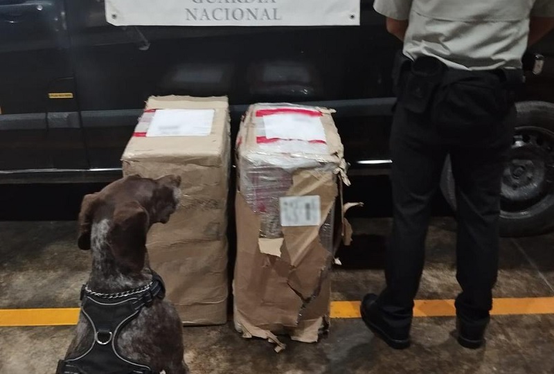 Detectan 37 kilos de marihuana en el Aeropuerto Internacional de Cancún