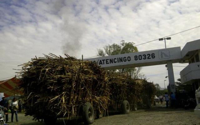 Ingenio de Atencingo molerá hasta 10 mil cañas diarias: Líder cañero